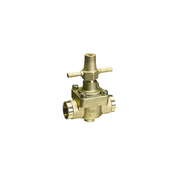 Globe Valve