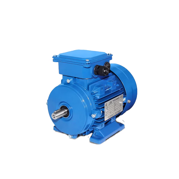 Standard Electric Motor